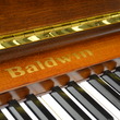 2000 Baldwin 248A professional upright, walnut - Upright - Professional Pianos